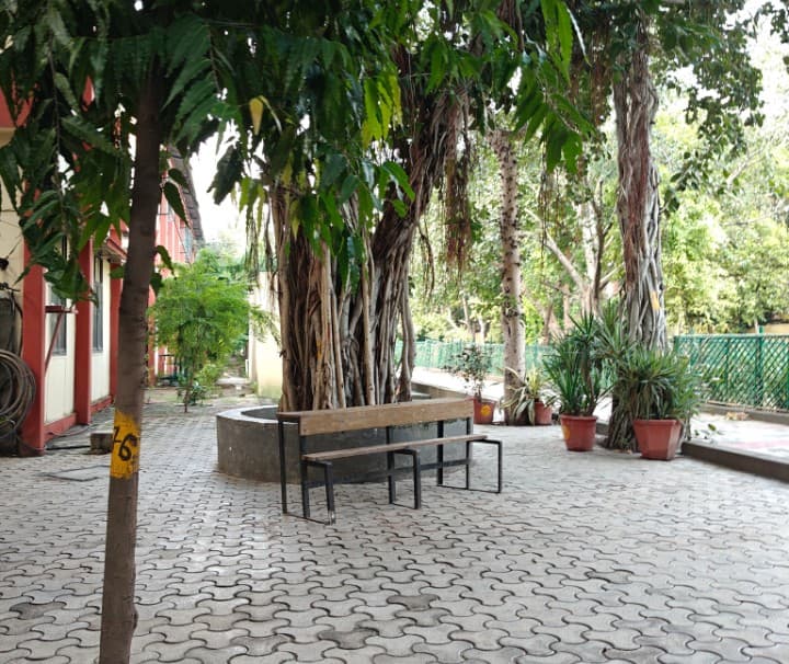 Shyam Lal College Campus photo 19